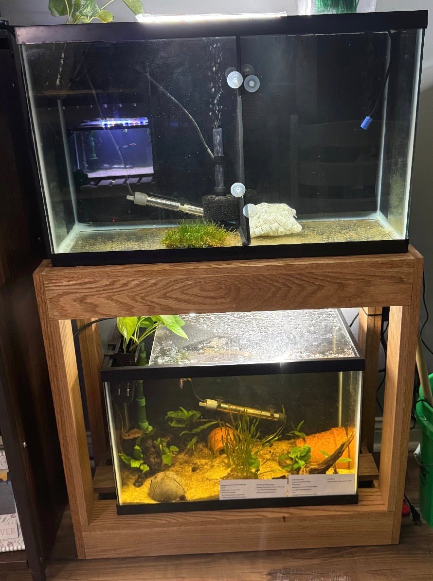 Custom Aquarium Stands — Built to Order freshwater fish for sale - Legacy Line Aquatics LLC