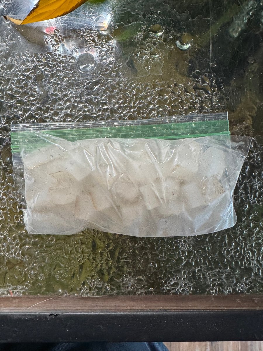 Frozen Baby Brine Shrimp Cubes freshwater fish for sale - Legacy Line Aquatics LLC