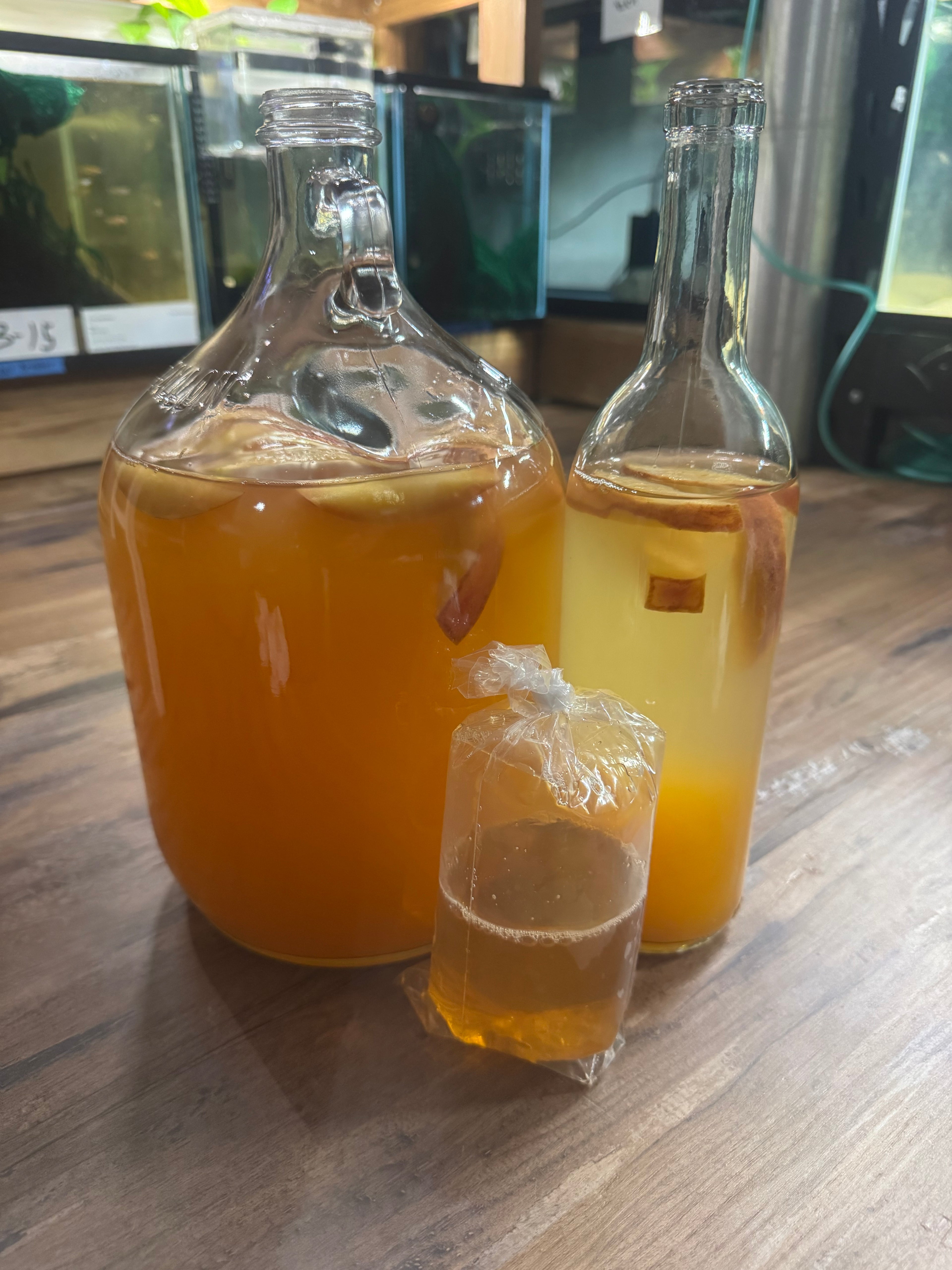 Live Vinegar Eel Culture- 6 oz culture